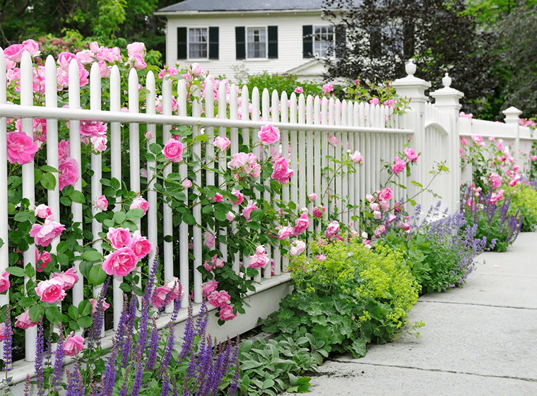 Fence Paint Color Ideas To Boost Curb Appeal WOW 1 DAY PAINTING